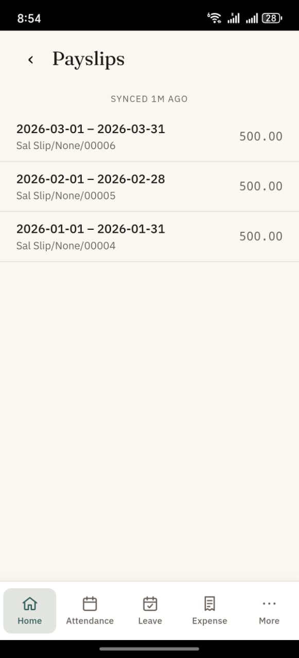 List of monthly payslips